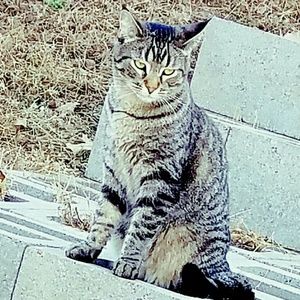 Meet your Posher, Delanie